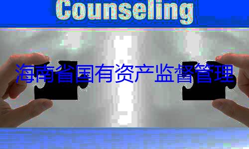 理委员会党海南省国有资产监督管查调查有福接受审委副书记王